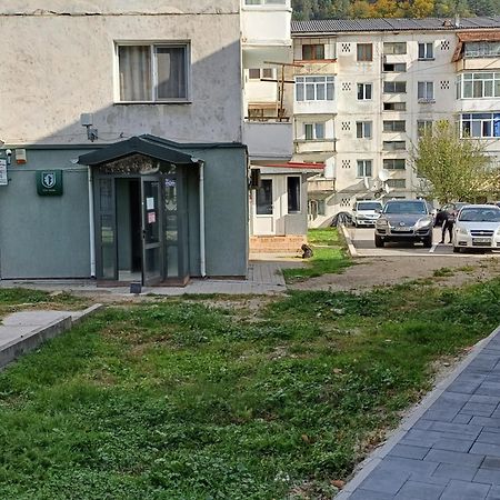 Apartament Brezoi Apartamento Exterior foto