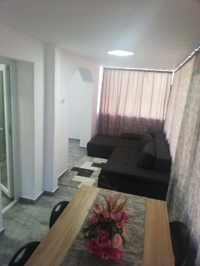 Apartament Brezoi Apartamento Exterior foto